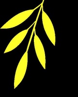 第37个爱国卫生月：倡导健康生活新风尚