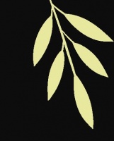 探索健康生活：第37个爱国卫生月的使命与行动