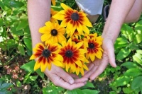 小病初愈：整理好思绪，放下该放下的向健康幸福的生活出发