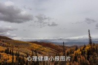 心理健康小报，心理健康小报图片