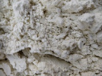 白莲子粉：天然营养食材，助力健康生活新方式