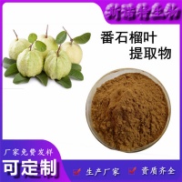【番石榴叶提取物 番石榴叶甙 番石榴叶黄酮 SC认证工厂批发】价格