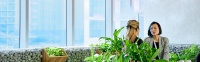 Health and wellbeing at work