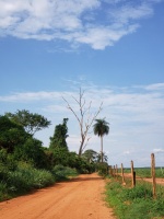 健身体能专业对日常生活及专项训练的应用意义