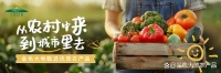 教你如何通过摄入足够的水果蔬菜实现健康瘦身