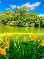 感悟人生的句子，选择正确的生活方式可以健康一生