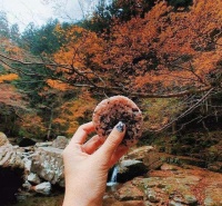 那些天天旅行的人：依靠什么维持生活呢？其实他们并不是家里有矿