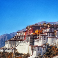 天天健康生活的个人主页