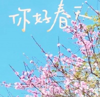 春日三重奏：健康、出行与学习的全方位指南