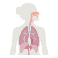 健康生活：呼吸冥想为我们打开舒缓身心的法门！