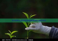 天天饮用什么茶适合长期养生健康身体分析茶叶成分