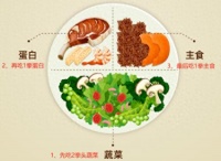 轻食、素食吃错了伤身！如何吃更健康，央视采访长轻营养师，给出4点建议