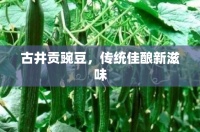 古井贡豌豆，传统佳酿新滋味