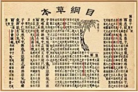 奇酒妙坛开启老年健康新酒程