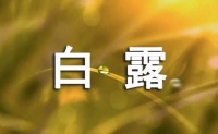 白露文案270句