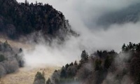 石榴富含维生素C 有效抗氧化