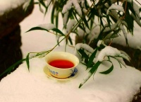 过年必备：好茶选购全攻略