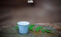 如何保存普洱茶渣不变质，巧妙运用茶渣的方法有哪些？