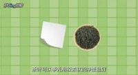 没喝完的绿茶该如何储存呢？