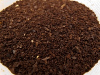茶叶渣变废为宝？揭秘天然花肥的三大营养密码