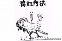 鸡血疗法：狂热年代的神奇秘方，一代人的“精神激素”