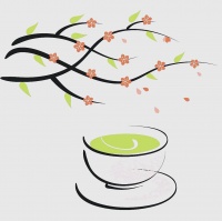 碧生源常菁茶：天然成分助力健康减脂