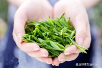 茶香中的健康密码：科学解析茶叶的降脂减肥功效