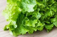 生活中常见的一些适合生吃的蔬菜