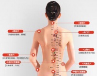 【专题】经络减肥有效吗