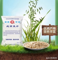 全麦麦片性价比高的品牌：推荐5款健康好味道！