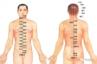 经络、针灸与气功——《针灸心法浅谈》感想