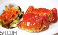 螃蟹和什么食物搭配最好？螃蟹不能与哪些食物搭配？
