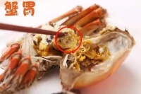 螃蟹六不吃有哪些？吃螃蟹禁忌