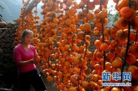 柿子勿与海带、螃蟹同食 搭配酸奶食用不致毒