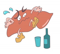 盘点生活中六种伤肝行为 你中了几件? 新闻中心