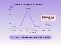 哪个牌子的NMN效果好权威评测？国内十大热门主流NMN品牌凭什么上榜？