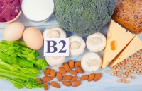 健康生活：饮食中的蛋白质来源与健康