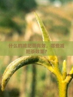 什么的减肥茶有效，哪些减肥茶效果？