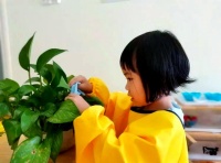 蒙台梭利教育：日常生活活动促进儿童发展