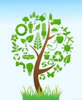 环保材料科普：定义、种类与未来技术，教你轻松选对“绿色生活”