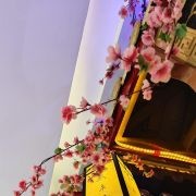 优食生活的实践建议 ...