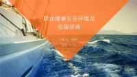 职业健康安全环境及安保培训.pptx