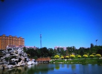 夏季健康生活指南：饮食、运动与心态管理