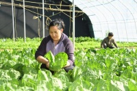 新发布食品安全标准，怎样影响你我生活？