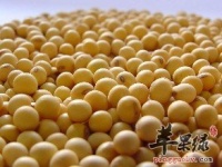 在生活中如何调理体质