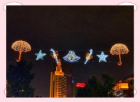 百日挑战：健康生活与内心成长