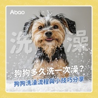 2025最新版 狗狗多久洗澡一次才正確？毛孩洗澡頻率與洗澡技巧完整指南｜Abao寵物