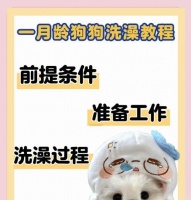 狗狗驱虫后多久可以洗澡？（洗澡前的等待时间及护理技巧）