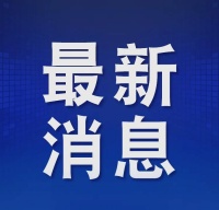 羽衣甘藍(lán)輕體茶：健康減肥新趨勢與注意事項(xiàng)