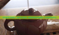 熟普洱茶胃不好能喝嗎？胃部不適人群必看！深度解析普洱茶對(duì)胃的影響，科學(xué)飲用指南全在這！